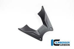 TAO.124.DI23M.K ILMBERGER CARBON TANK COVER (DVL V4)