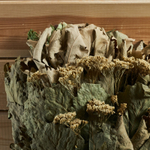 Веник-букет (дуб, береза, тысячелистник, ромашка)_5.jpg