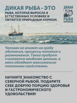 Лосось авторского посола ТАЁЖНЫЙ ЦЕХ слабосолёный 0,36 кг