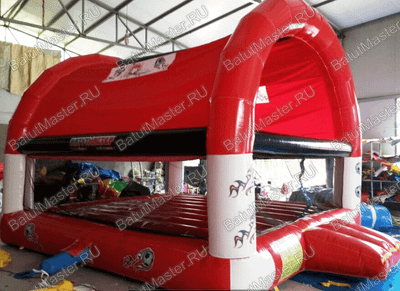 Детский надувной батут "Мячики" с крышей 5*4*3.5 м