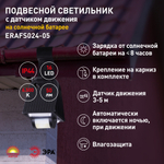 Светильник уличный ЭРА ERAFS024-05 подвесной с датчиком движения на солнечной батарее 16LED 50lm