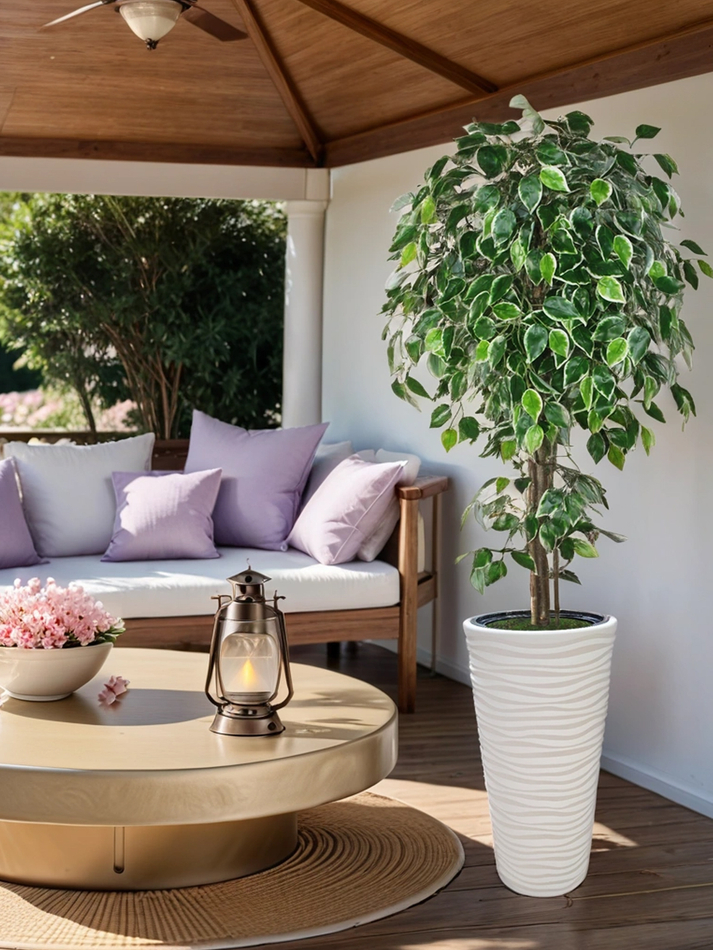 Искусственное дерево Фикус Пестрый 170 см в высоком круглом белом кашпо