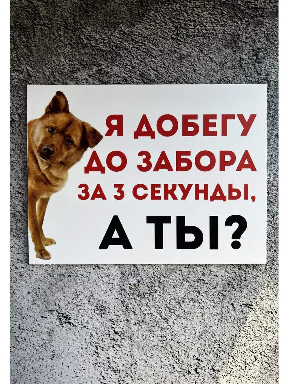 Табличка Злая собака