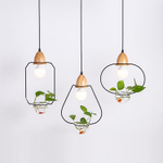 Pendant design lamp  Eco 3