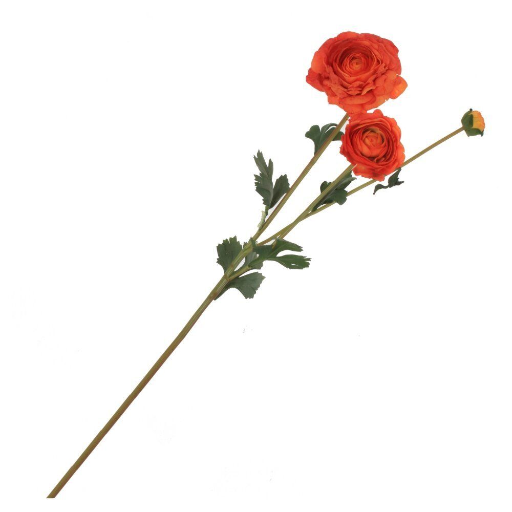 GAEM Цветок искусственный "Ранункулюс", L14 W17 H62 см, 6в.