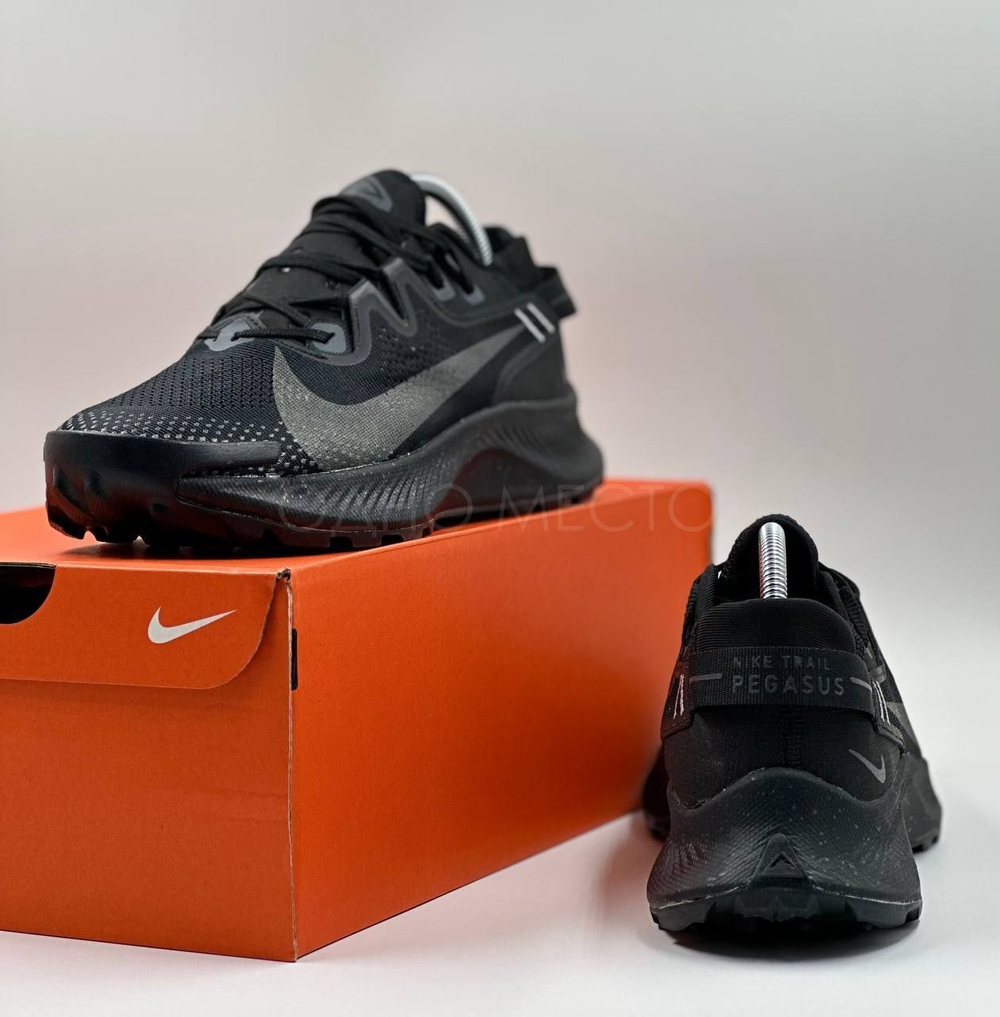 Nike Pegasus Trail 2