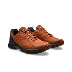 Кроссовки ASICS GT-2160 NS 'Rusty Brown' 1203A375-200