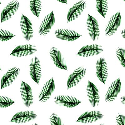 Pine Branch