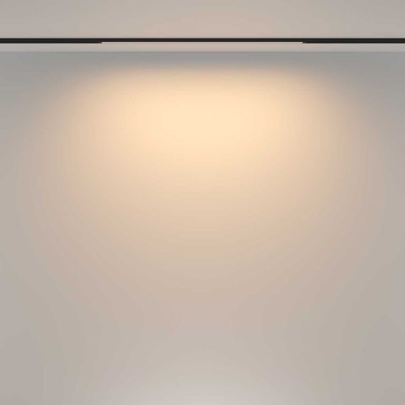 Трековый светильник Maytoni Technical TR173-1-16WTW-B