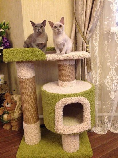 Дом для кота Д-6