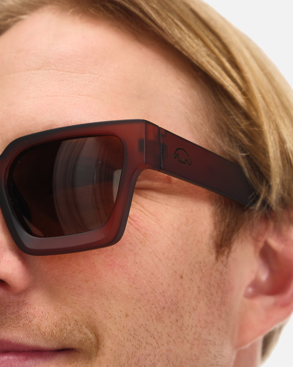 Очки Anteater Президент Коричневый