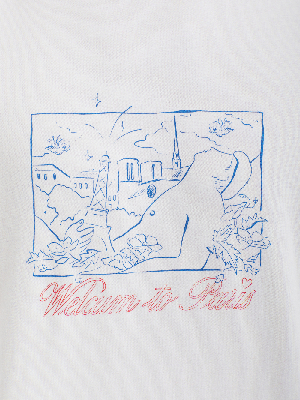 Мужская Футболка The Big Bienvenue