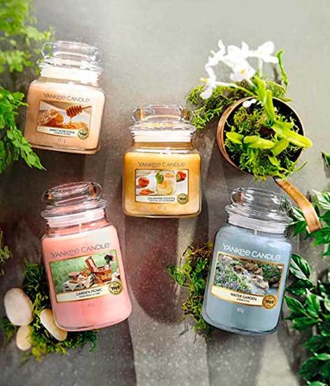 Ароматическая свеча Лайм и кориандр, Yankee Candle