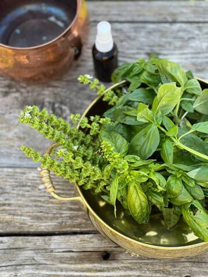 Гидролат базилика лимонного