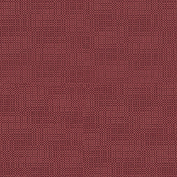 Велюр Blitz / Блитц