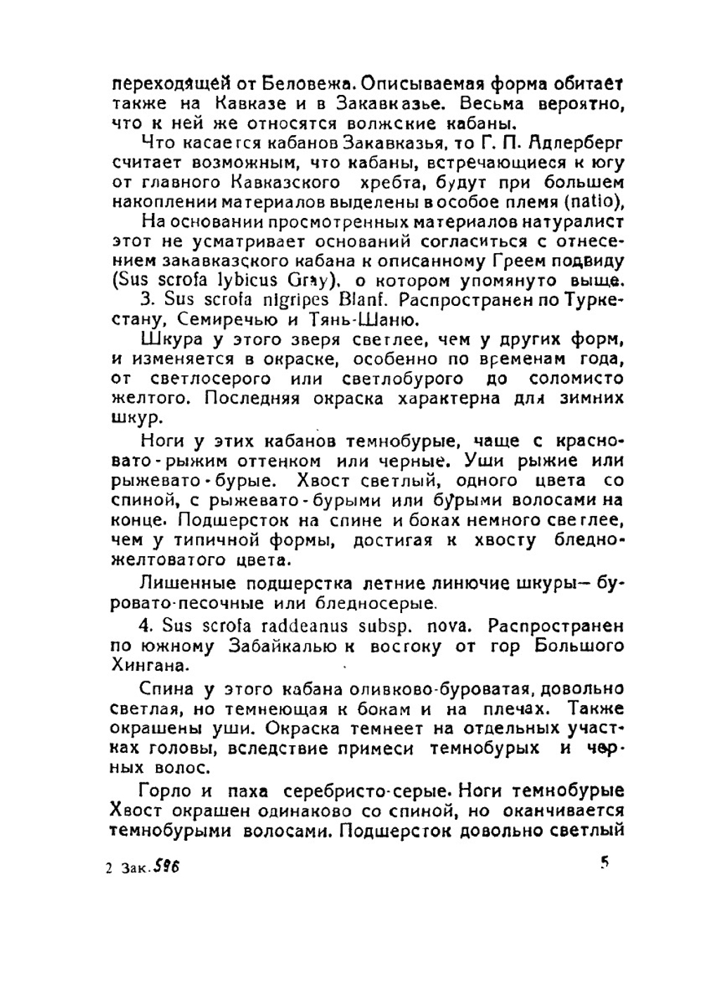 Охота на кабанов | В.Н. Каверзнев