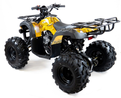 Квадроцикл MOTAX ATV Grizlik-8 125