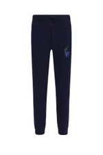 Спортивные штаны POLO RALPH LAUREN - темно-синий(920633)