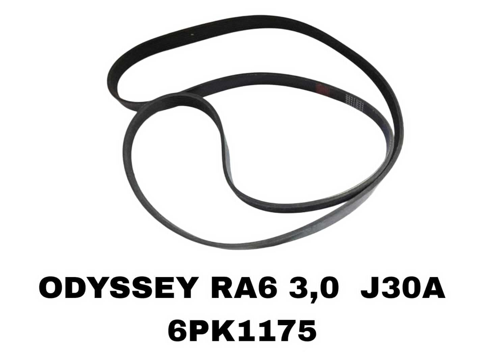 НАРУЖНИЕ РЕМНИ ODYSSEY RA6 3,0 J30A