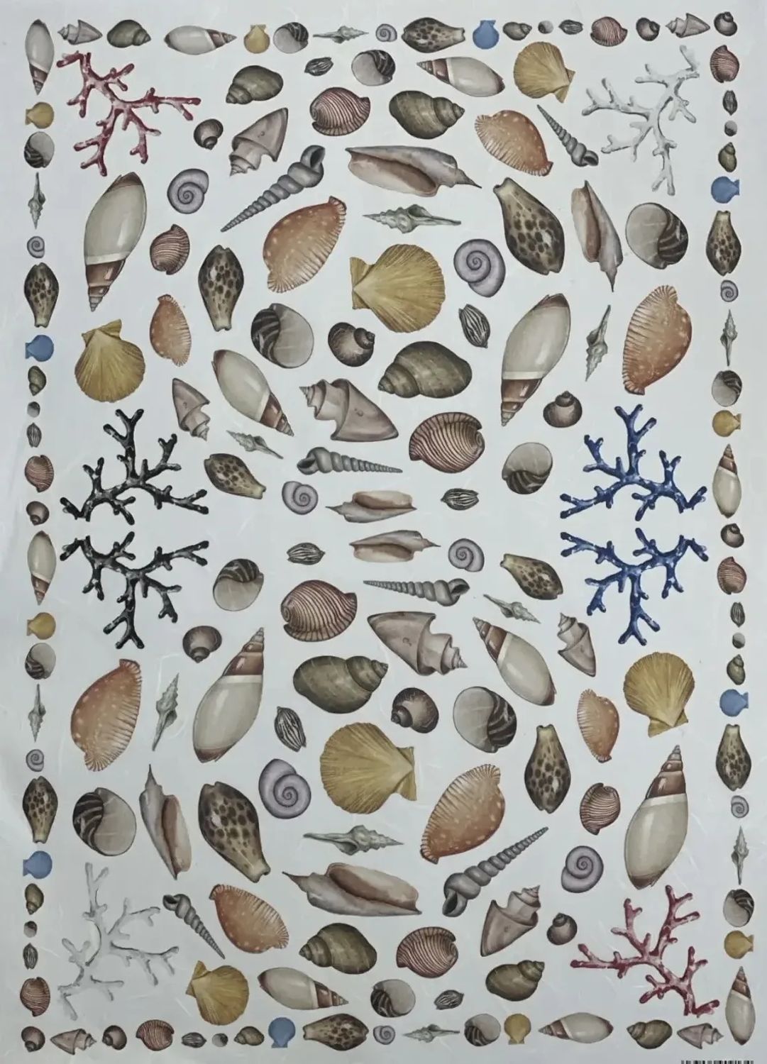 рисовая карта EXCR 16 (35*50см)