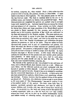 The apricot. Its history, varieties, cultivation, and diseases | David Taylor Fish