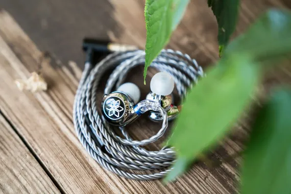 FiiO FD11 With Mic Silver
