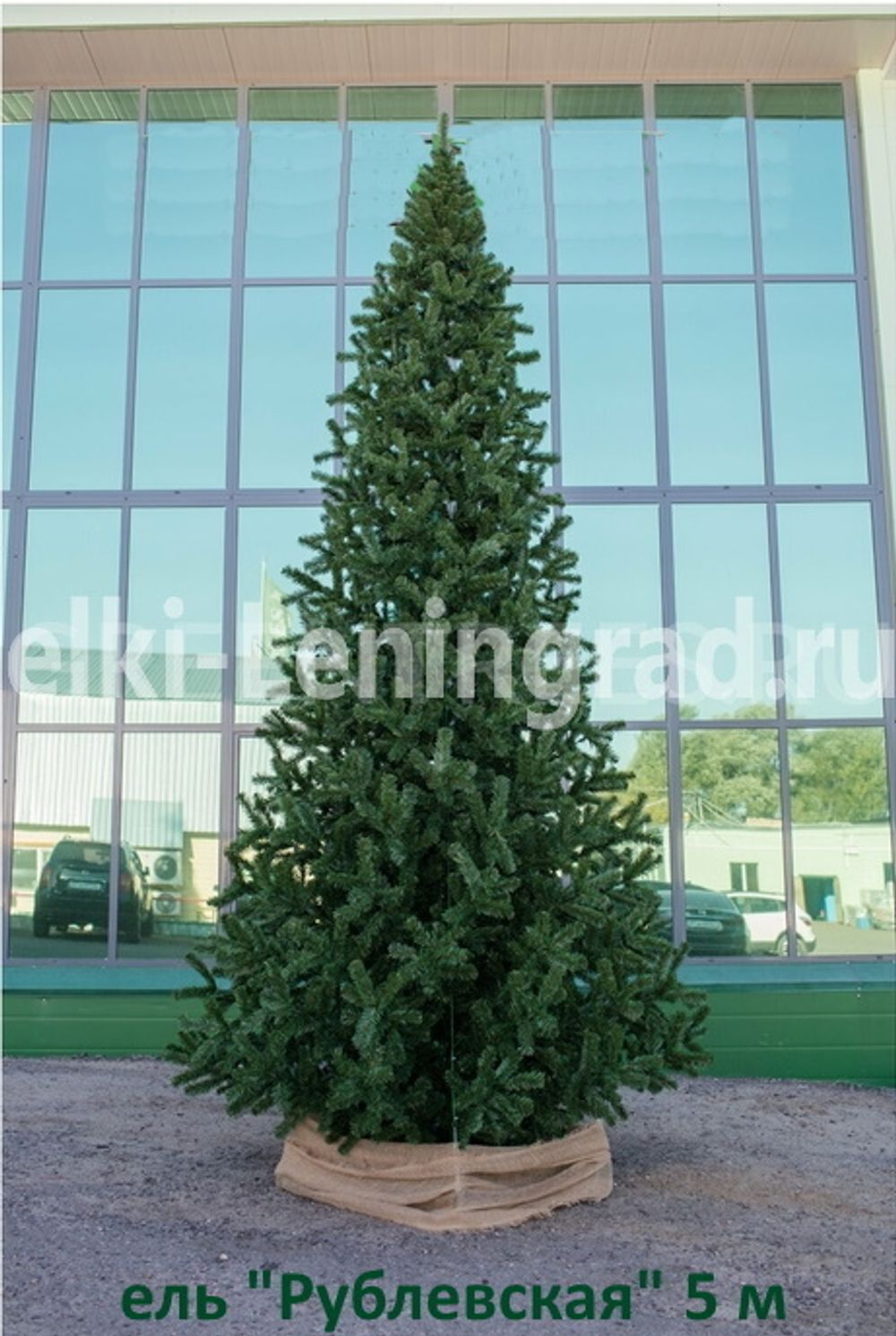 Большая елка «Рублевская» (пвх) 6,5 м
