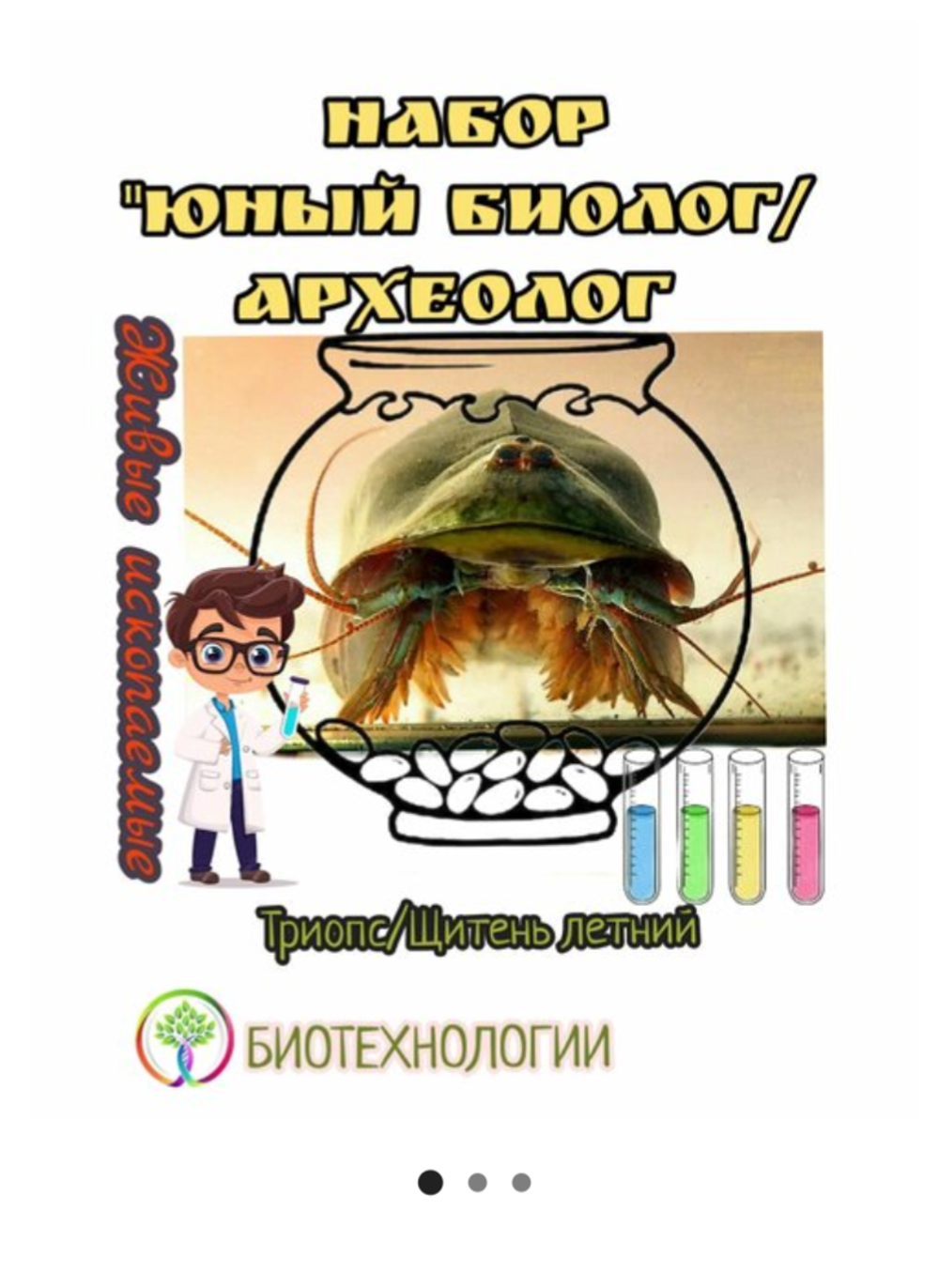 Щитень ЛЕТНИЙ