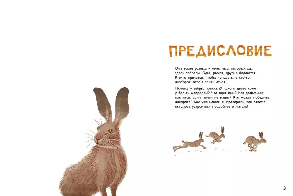 Они такие разные!