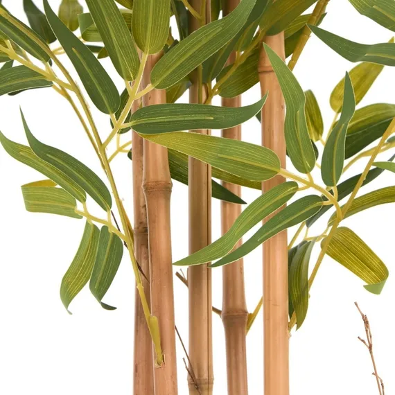 Бамбук высота 175 см