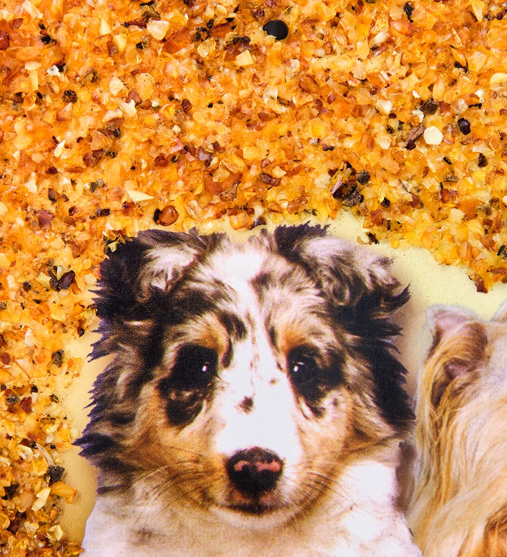 AMB-71/51 Картина «Дружная семейка кошек и собак» (с янтарной крошкой) дер.краш.рамка 21х30