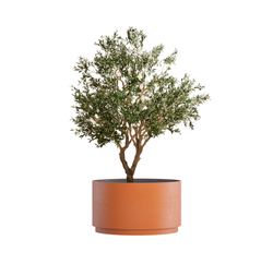 Кашпо, коллекция Classic, форма CYLINDER XL