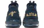 Кроссовки Nike Lebron 16 Titan Low Agimat