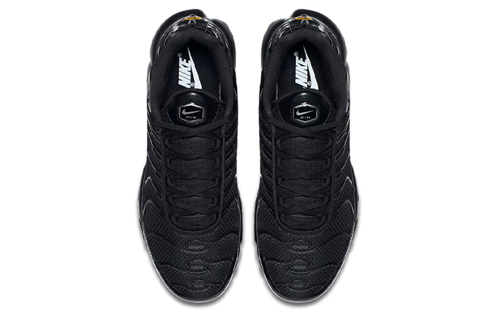 Кроссовки Nike Air Max Plus