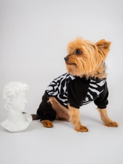 Комбинезон костюм для собак и кошек