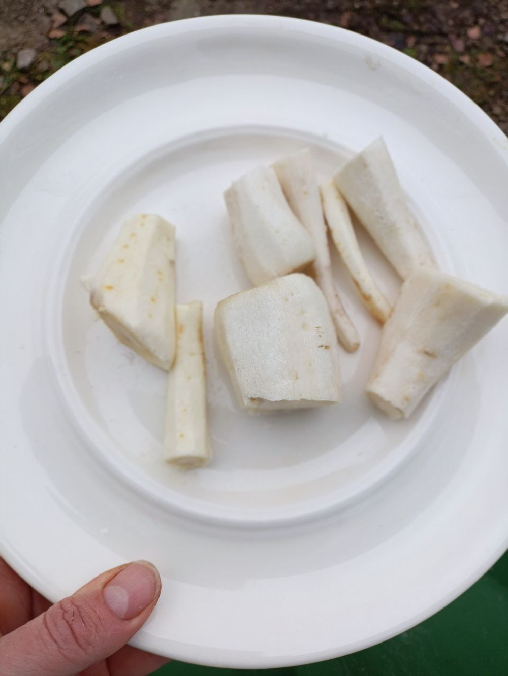 Корень пастернака резаный