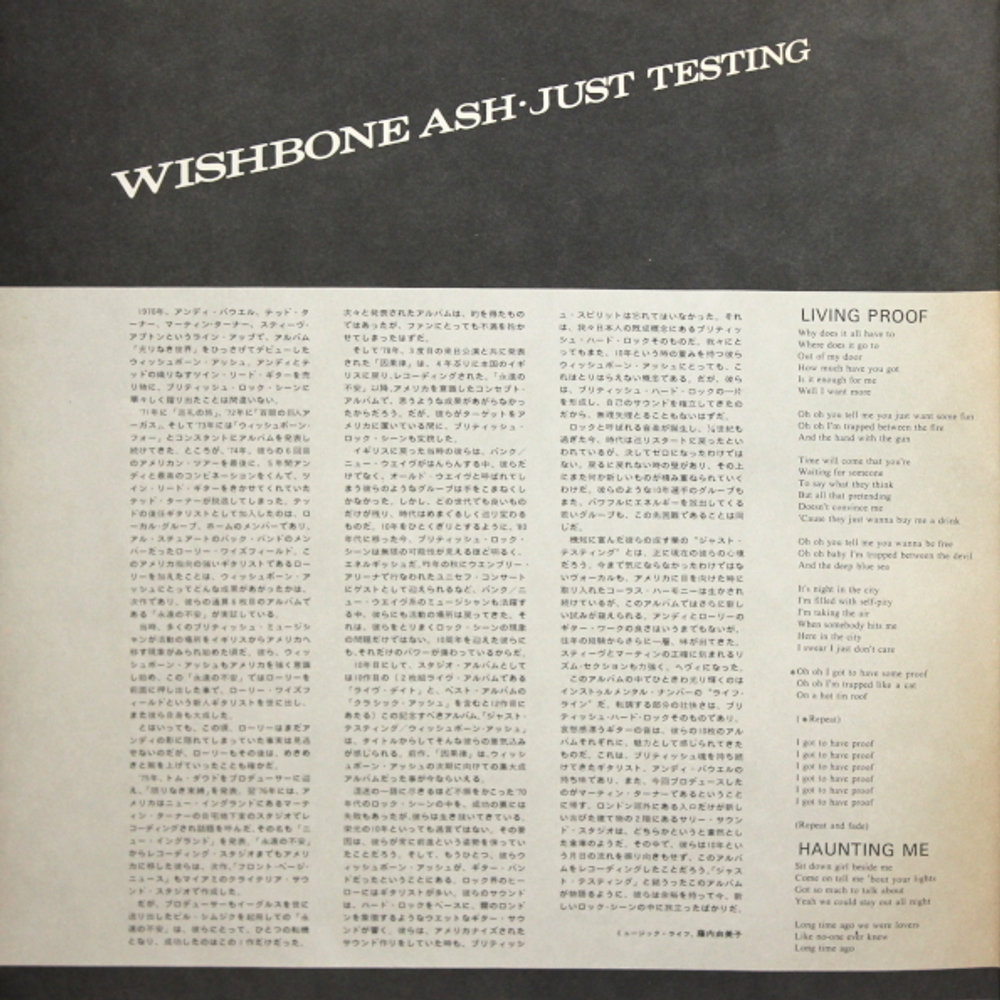 Wishbone Ash / Just Testing (LP)
