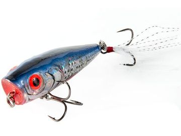 Воблер плавающий Salmo RATTLIN POP 07/CBH