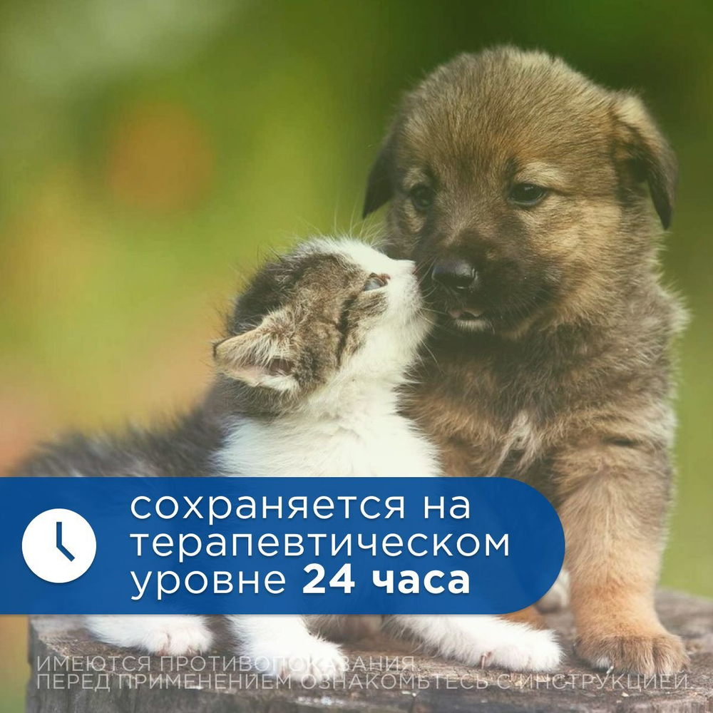 Антибиотик для кошек и собак противомикробные жевательные таблетки Okvet Докситрон 100мг, 12таб
