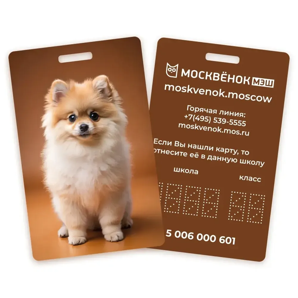 Карта Москвёнок DOGS №12 (проход + питание)