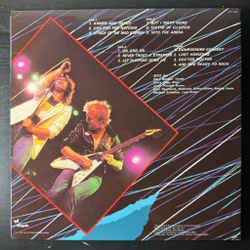 Виниловая пластинка The Michael Schenker Group ‎– One Night At Budokan 2LP