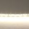 Светодиодная лента Lightstar 12W/m 120LED/m дневной белый 5M 420504