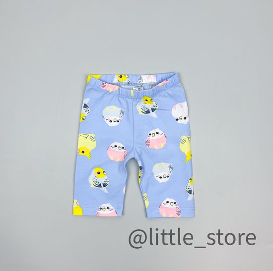 Бриджи "Цветные попугайчики" небесные