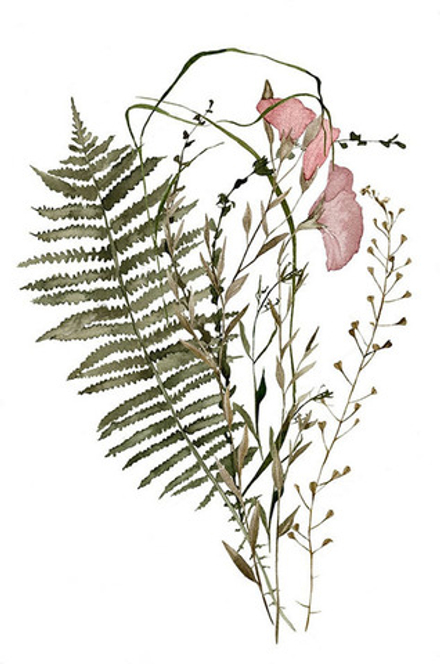 "Гербарий", фотокартина (репродукция)