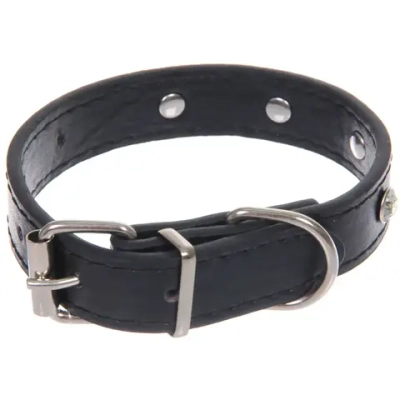 Ошейник для собак и кошек со стразами «На стиле», цвет черный, 2см, размер XS, 20*25см (лейбл)