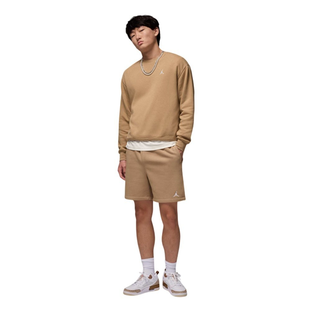 Баскетбольная толстовка Jordan Brooklyn Fleece Sweatshirt Brown