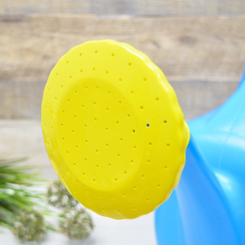 Лейка 10л с рассеивателем