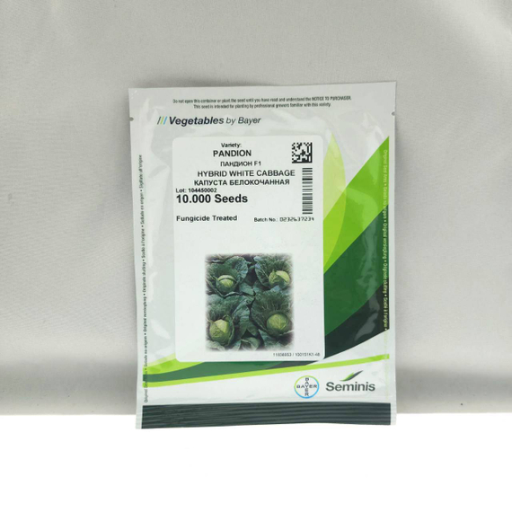 Пандион F1 семена капусты белокочанной (Seminis / Семинис) упаковка 10 000 шт – фото 7