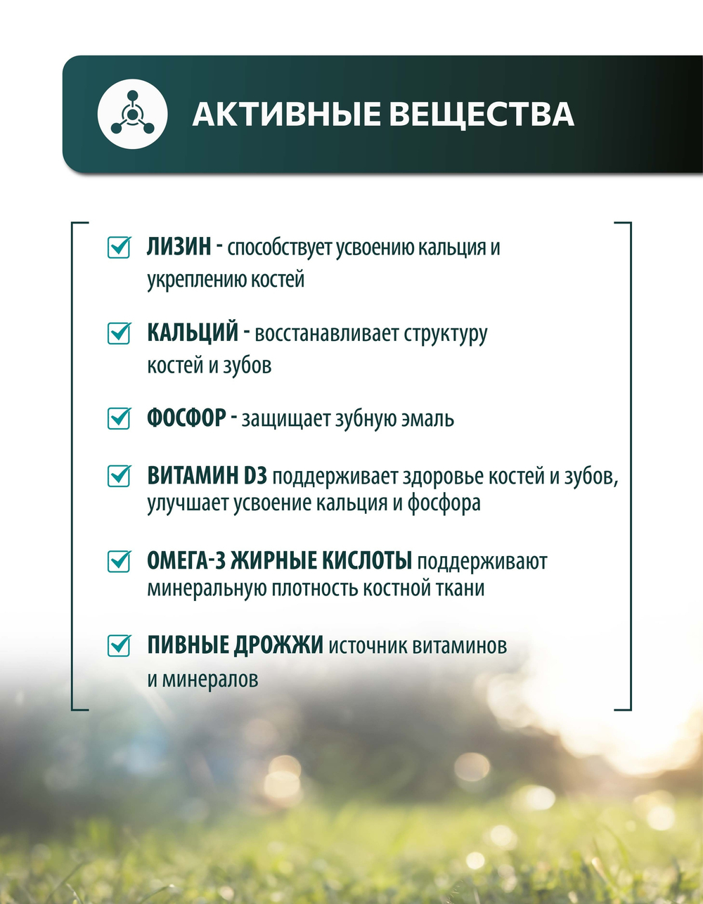Vita+ мультивитаминное лакомство для собак Для зубов и костей, 90 таблеток