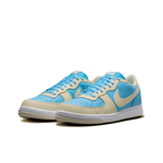 Мужские кроссовки Nike Terminator Low 'Aquarius Blue Coconut Milk' HF4834-407